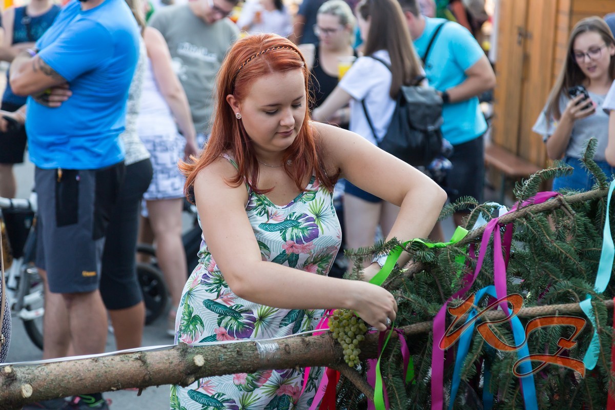 Pátek - stavění máje