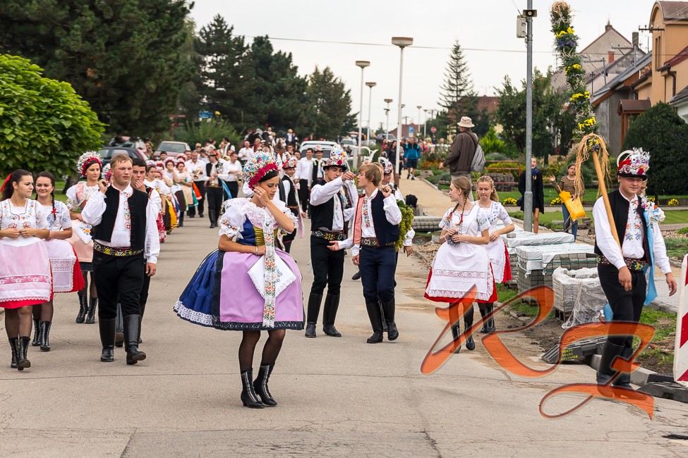 IMG 1132